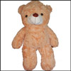 Give a Hug  - TEDDY BST 6006 - Click here to View more details about this Product